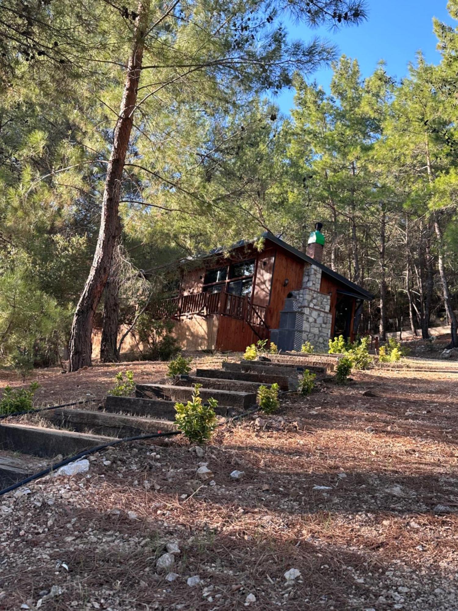 Panurlawoodenhouse Oezel Havuz& Sauna Mavi Exterior photo