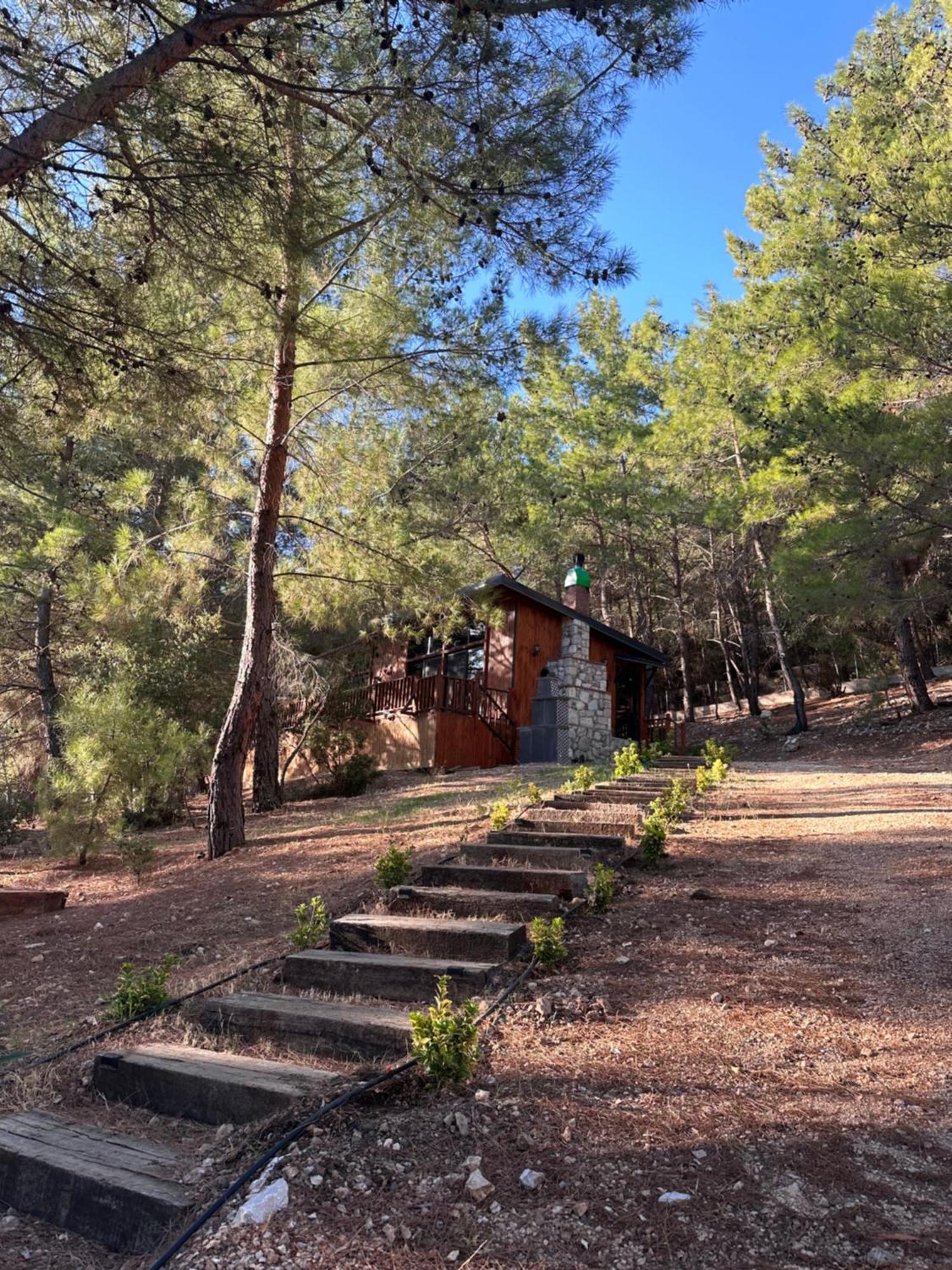 Panurlawoodenhouse Oezel Havuz& Sauna Mavi Exterior photo